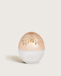 Maison Berger Luka Frosted Lamp Gold Top