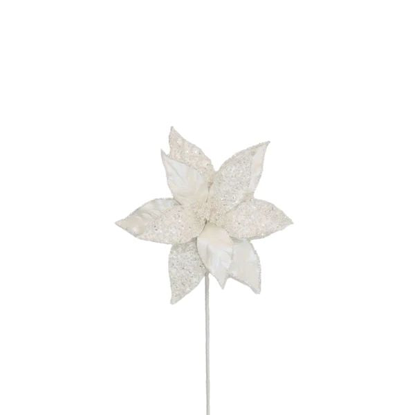 Floral Pearl Poinsettia  White
