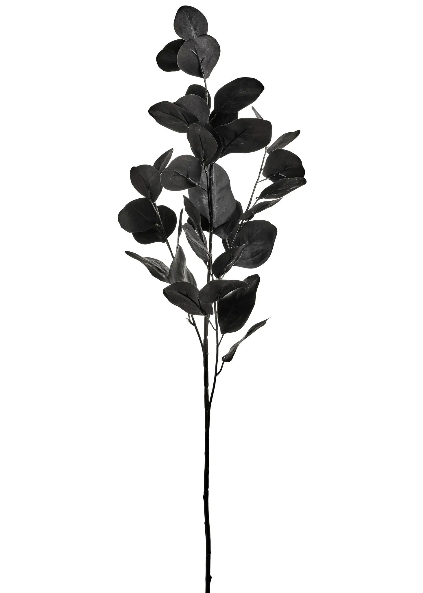 Floral Eucalyptus Black Leaf Branch7 x 31.5 " ADV
