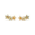 Lovers Tempo| Earrings Floral Climber