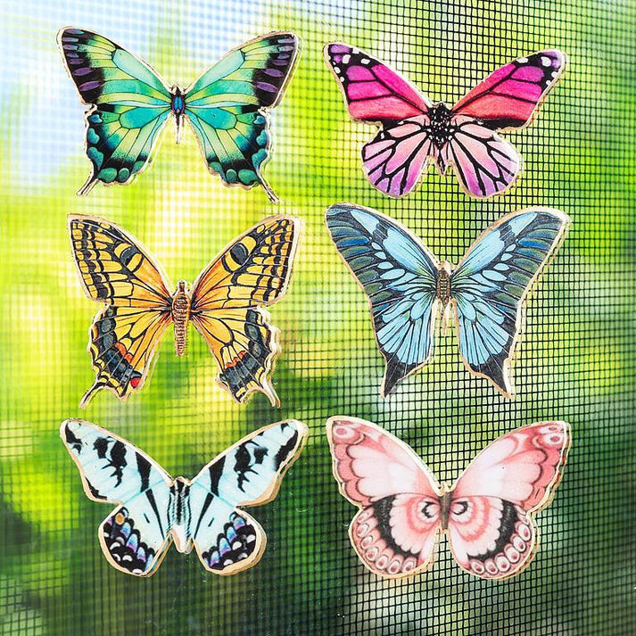 Two-Sided Butterfly Screen Magnet