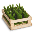 Moss Rabbits Green each 3.75"