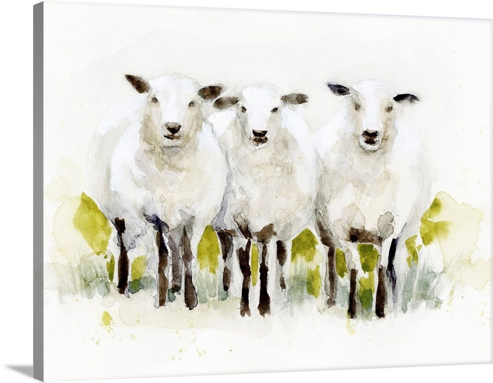 Watercolor Sheep Trio Wall Art 16 x 20"