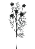 Floral Thistle Spray Black 23.5" ADV