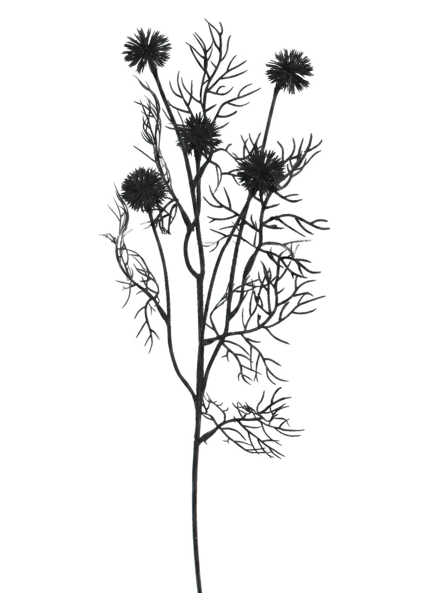 Floral Thistle Spray Black 23.5" ADV