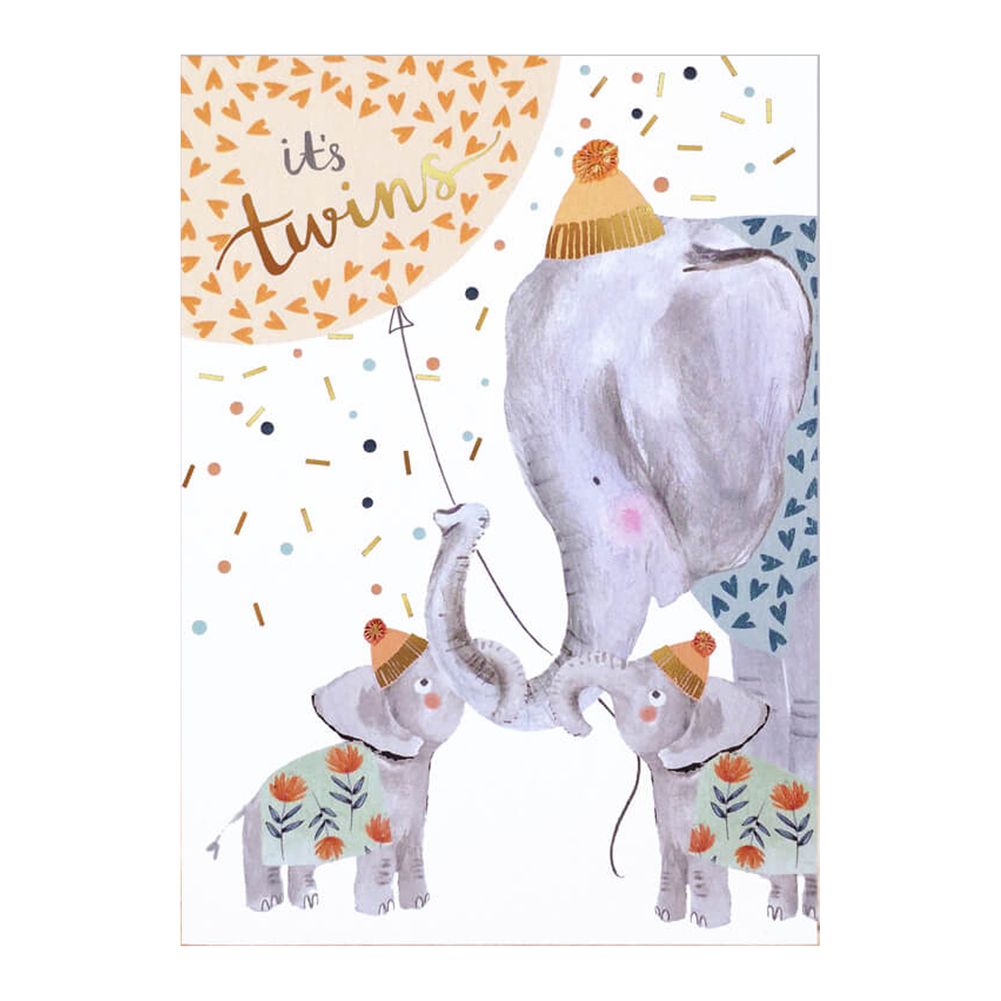 Twins Greeting Card
