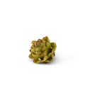 Artichoke Green 4" Decorative Accent