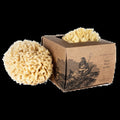 Small Boxed Wool Sponge