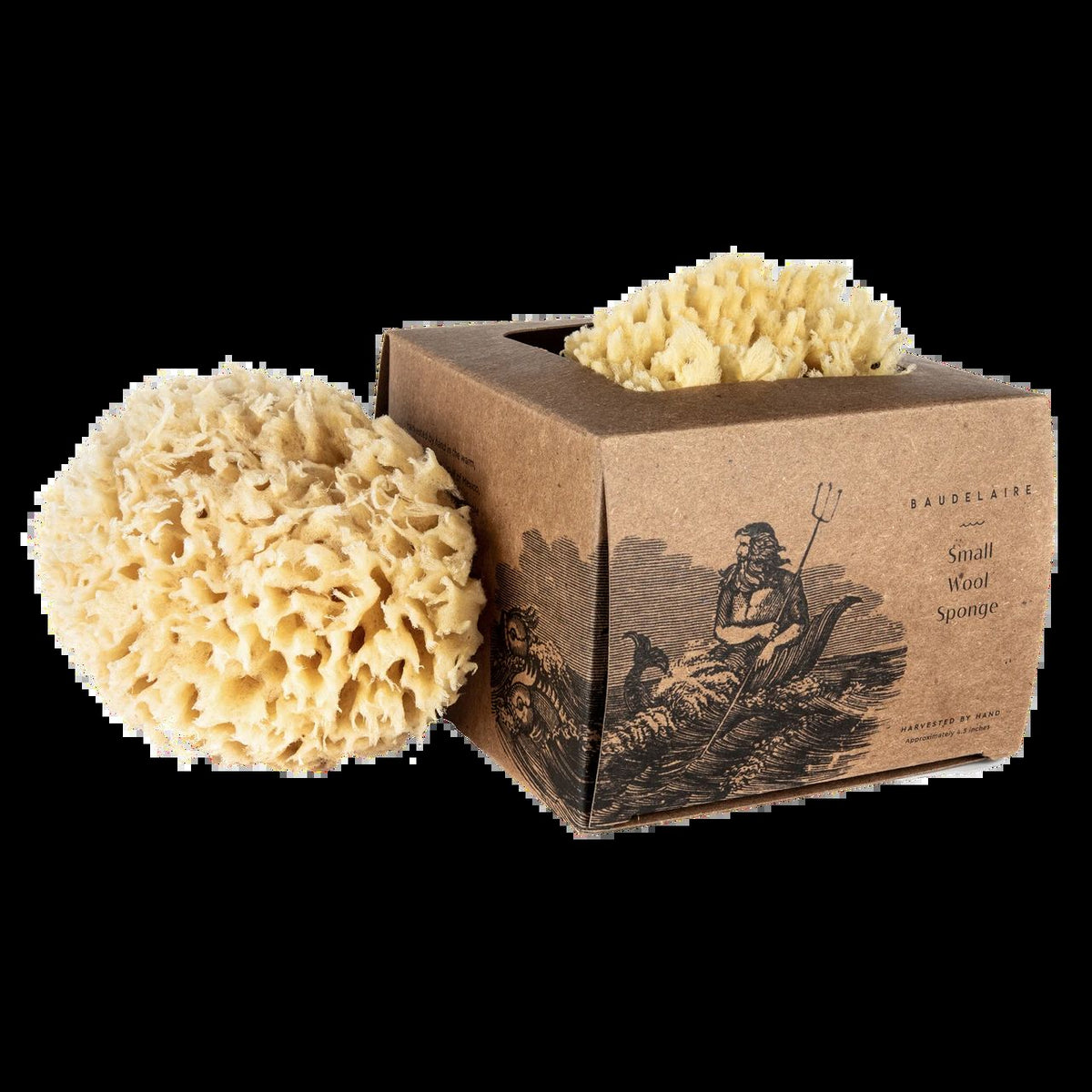 Small Boxed Wool Sponge