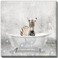 Baby Zebra in Bath Wall Art 18 x 18"