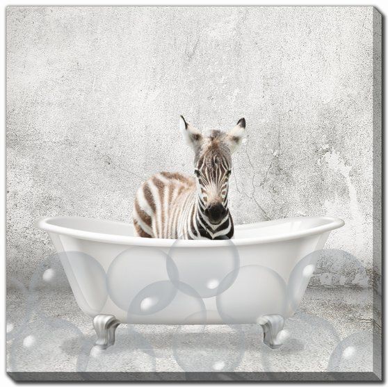Baby Zebra in Bath Wall Art 18 x 18"