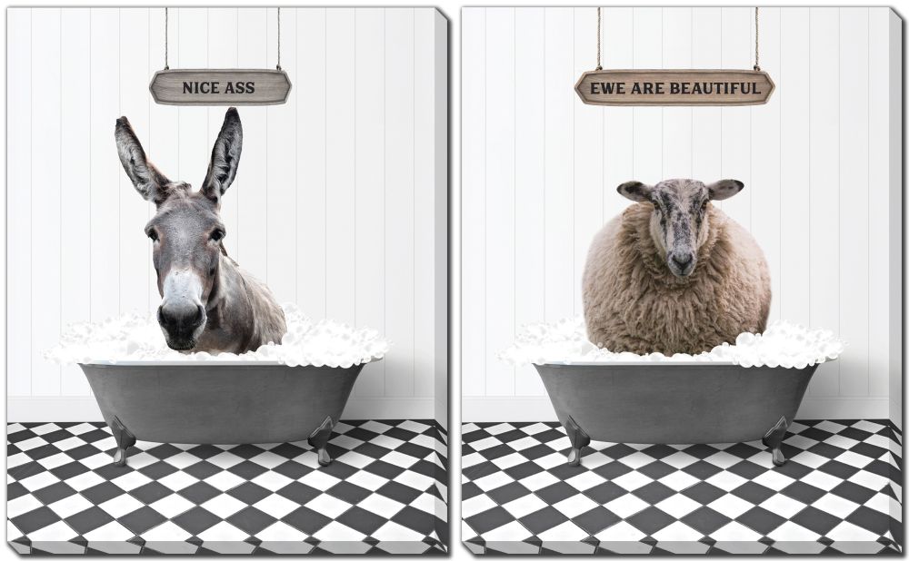 Donkey Bath Wall Art 16 x 20"