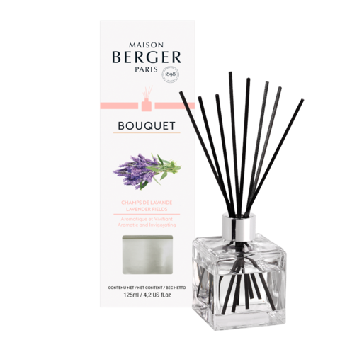 Maison Berger | Lavender Reed Diffuser Set