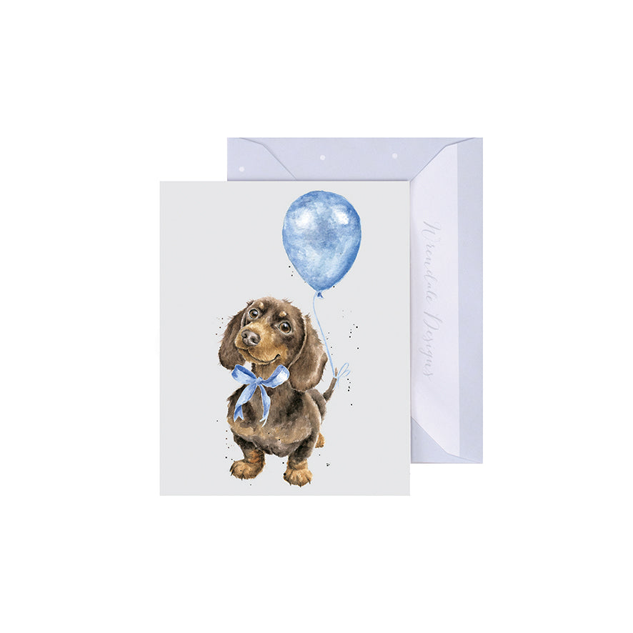 Wrendale Designs New Baby Boy Gift Enclosure - Blue Sausage