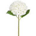Flowers Hydrangea 20" White