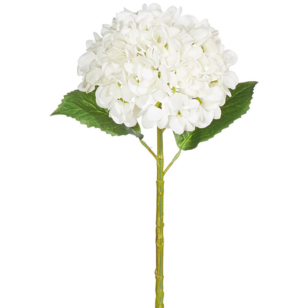 Flowers Hydrangea 20" White