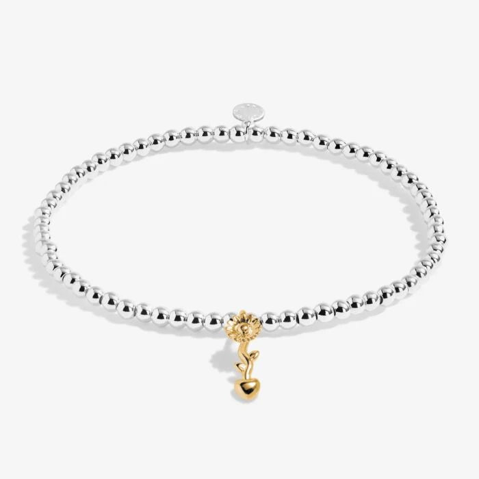 A Littles & Co | Teachers Plant Seeds Bracelet - Silver & Gold-Tone