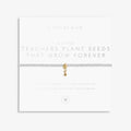 A Littles & Co | Teachers Plant Seeds Bracelet - Silver & Gold-Tone