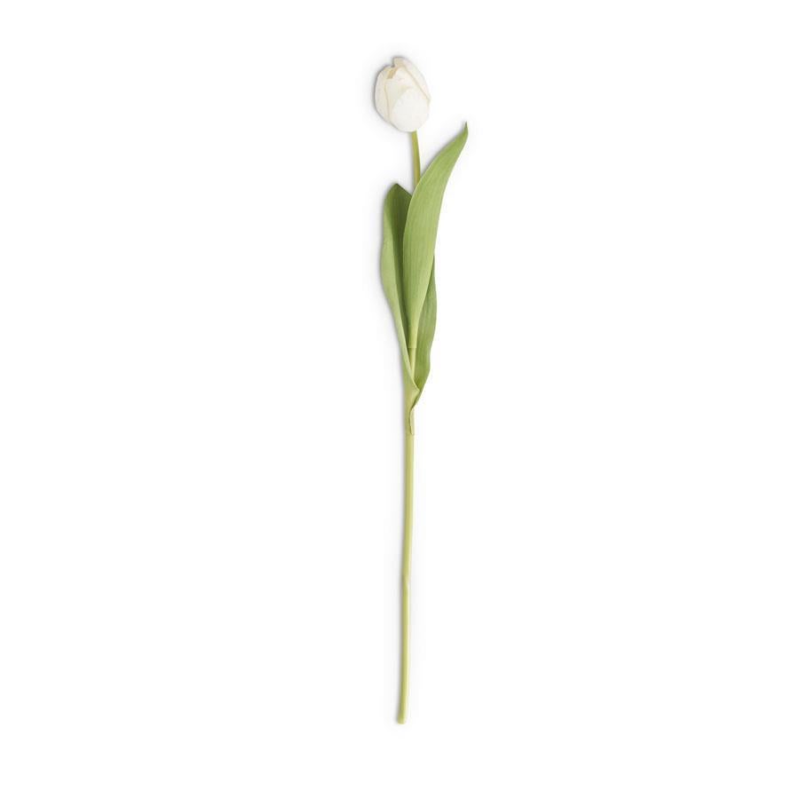 Real Touch Single Tulip 26.75" White Silk
