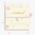 A Littles & Co | Confetti Friendship