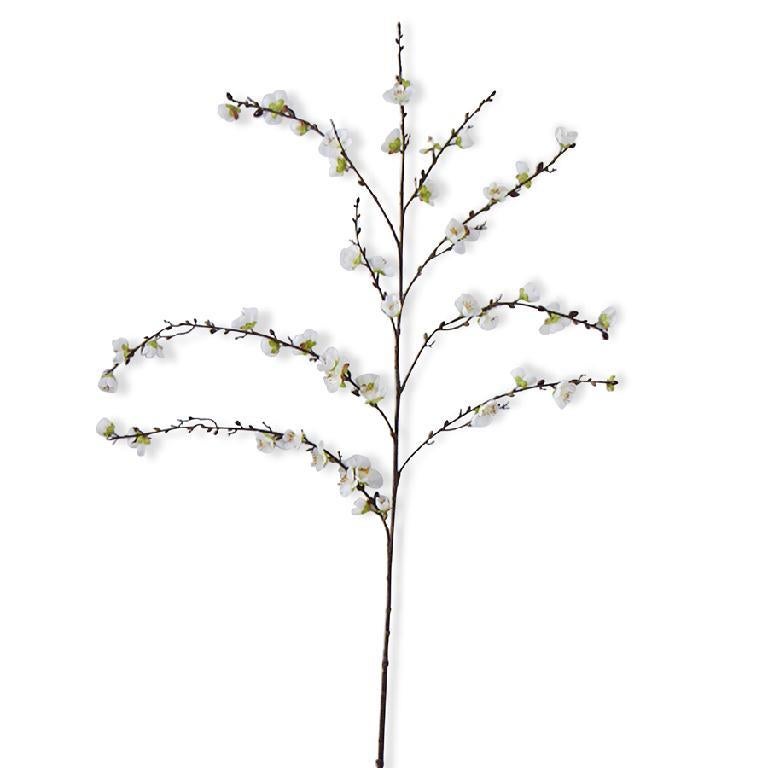 Floral Cherry Blossom Branch White