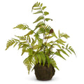 Floral Fern Moss Drop in 20 "