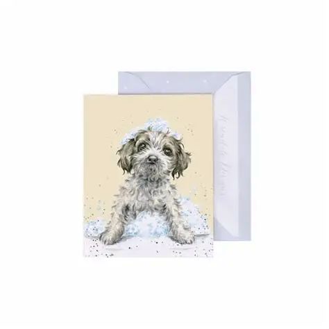 Wrendale Designs Birthday Gift Enclosure - Birthday Bubbles