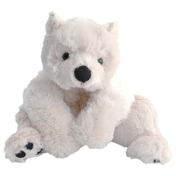 Antonio Baby Polar Bukowski