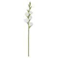 Floral Real Touch Gladiolus 34" White