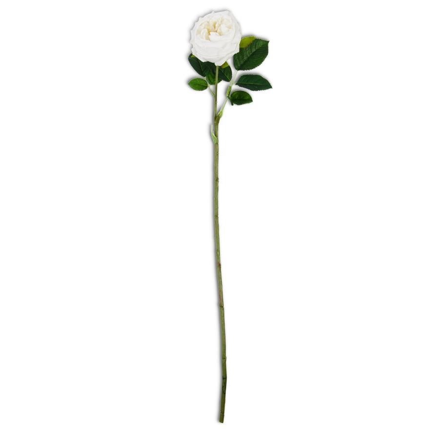 Floral Real Touch Rose Austin White