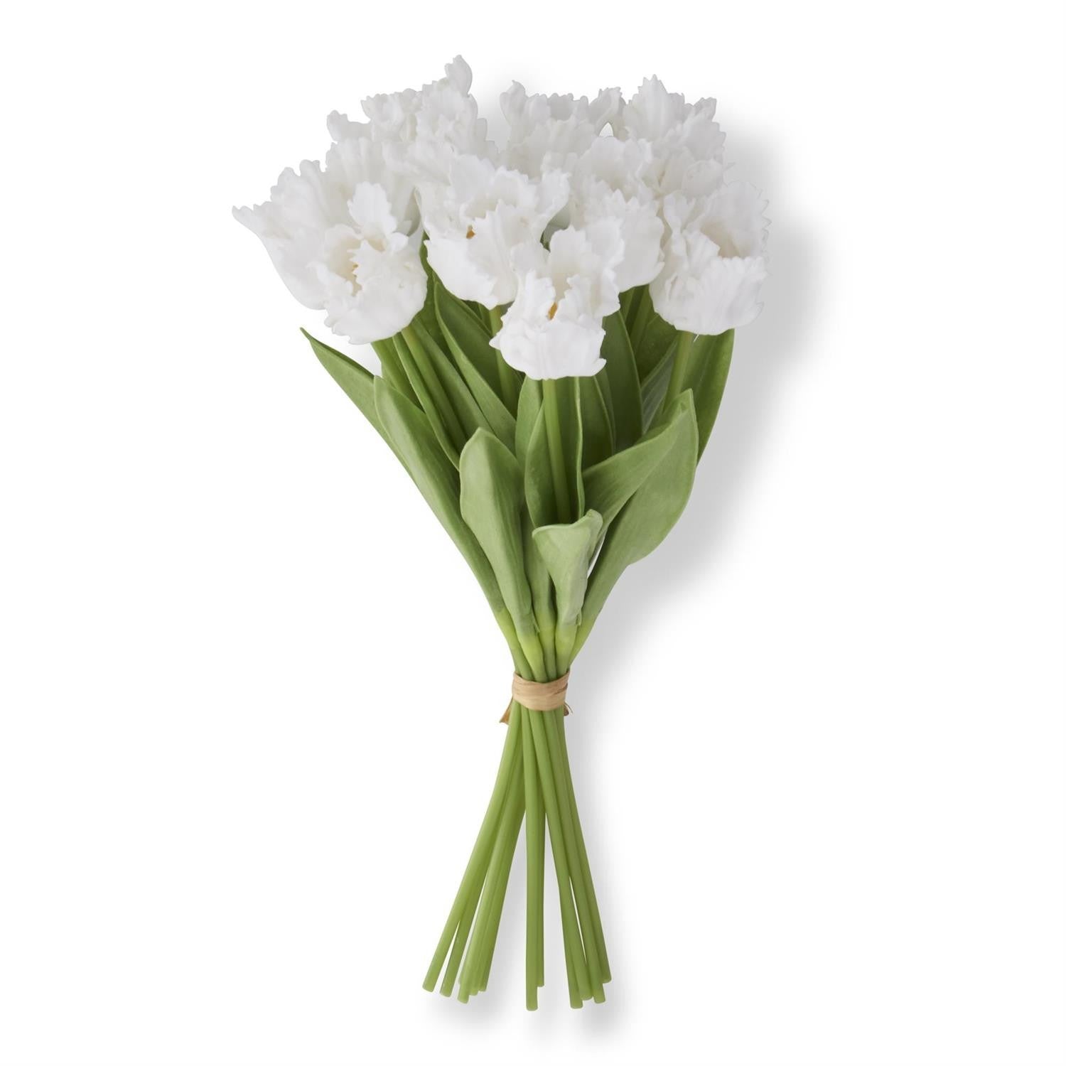 Floral Real Touch Parrot Tulip White