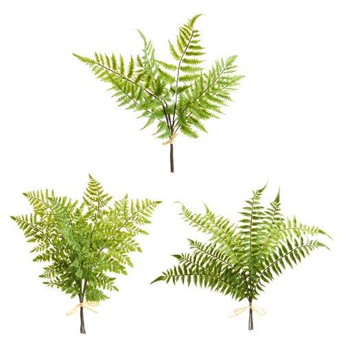 Fern Bundle 20"