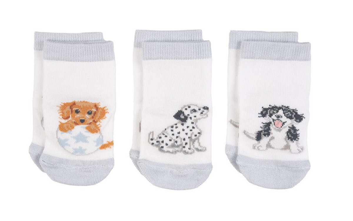 Wrendale Designs Little Paws Baby Socks Set of 3