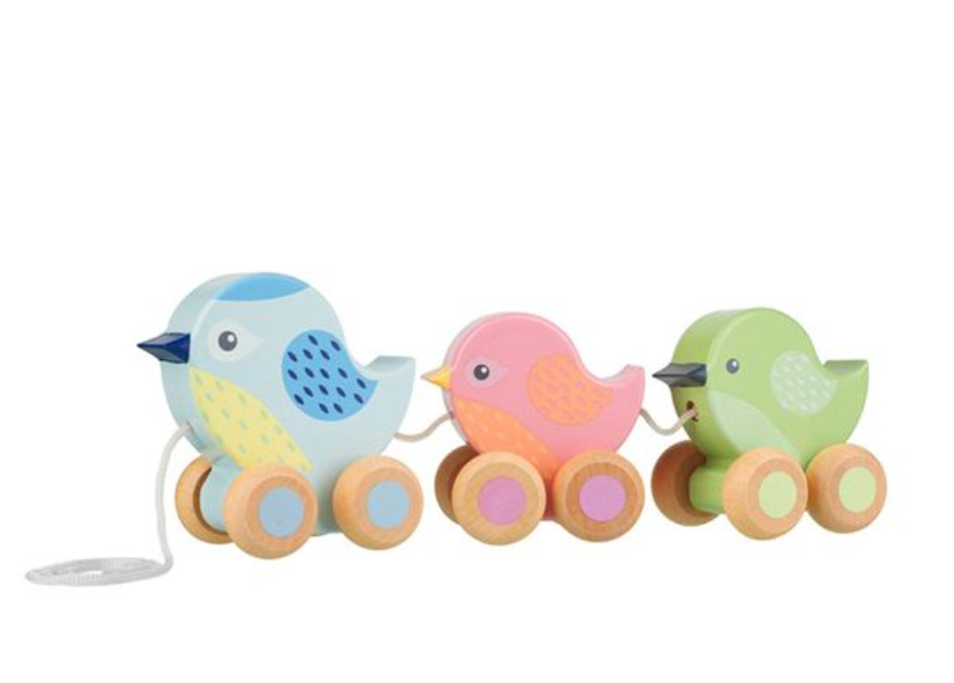 Orange Tree Toys | Pull Along Birdies