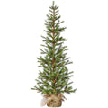 Tree Pine Slim 4' in Bag