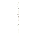 Pussy Willow Branch 40"