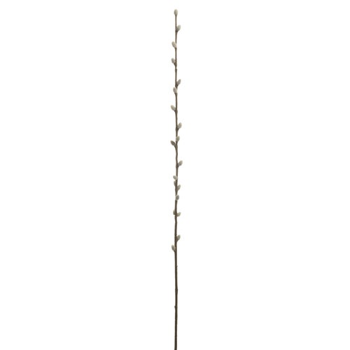 Pussy Willow Branch 40"