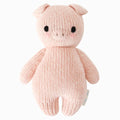 Baby Piglet Cuddle & Kind