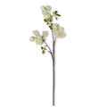 Floral Stem White Chinese Lantern Spray
