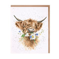 Wrendale Designs | Daisy Coo Highland Cow Greeting Card