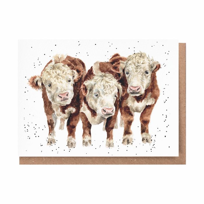 Wrendale Designs | Paddy, Percy & Pedro Cow Greeting Card