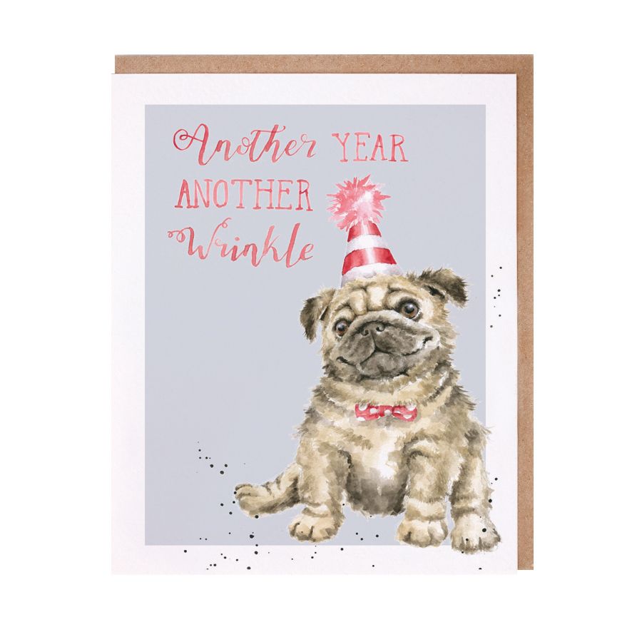 Wrendale Designs | Another Wrinkle Party Animals Birthday Card