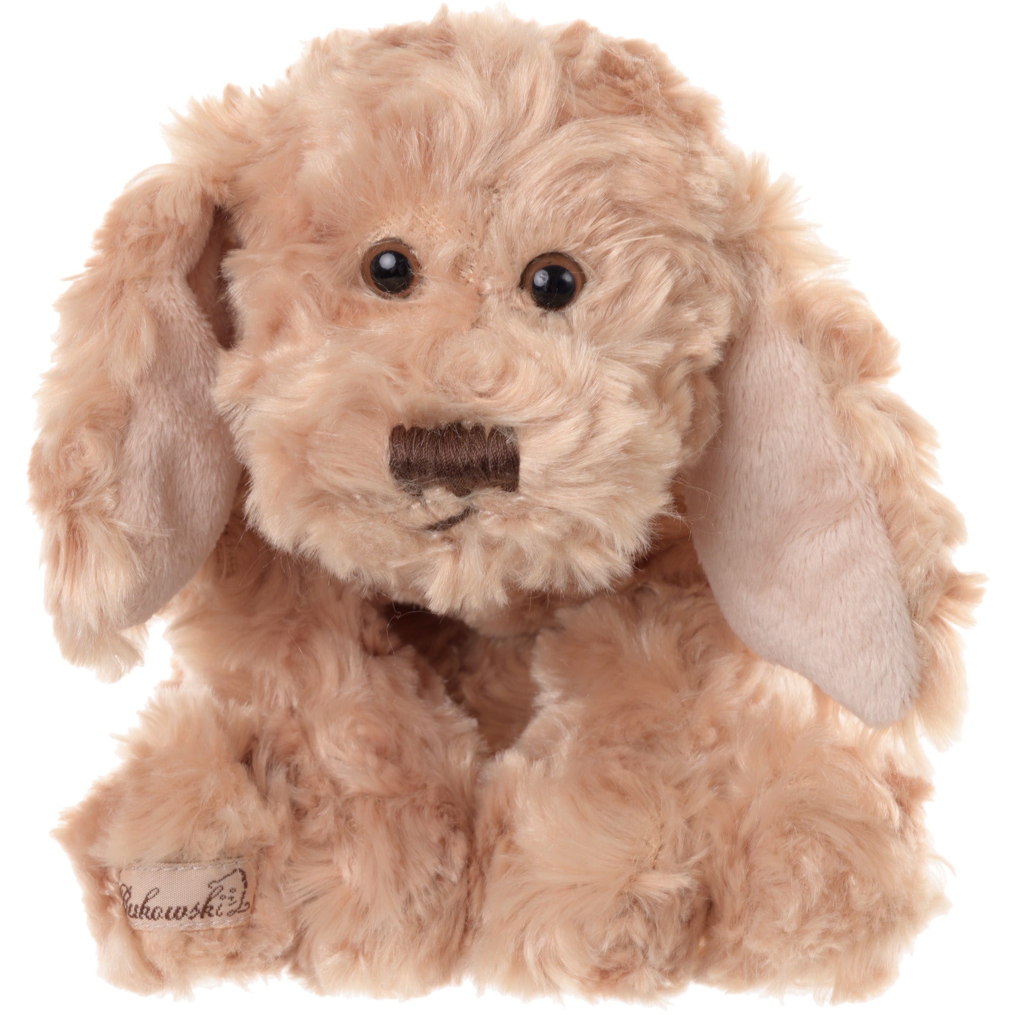 Buddy Dog Bukowski