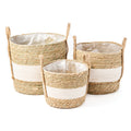 Brunelli | Mambo Plant Pot - Assorted Sizes