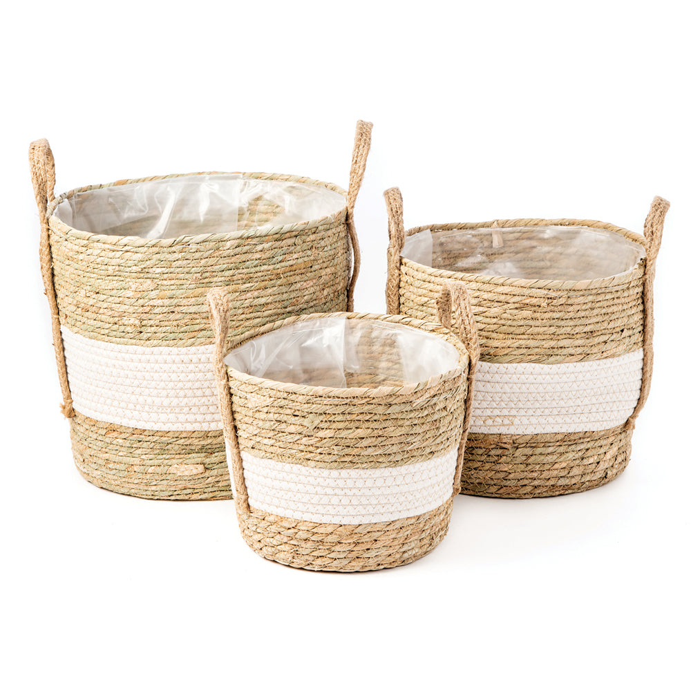 Brunelli | Mambo Plant Pot - Assorted Sizes