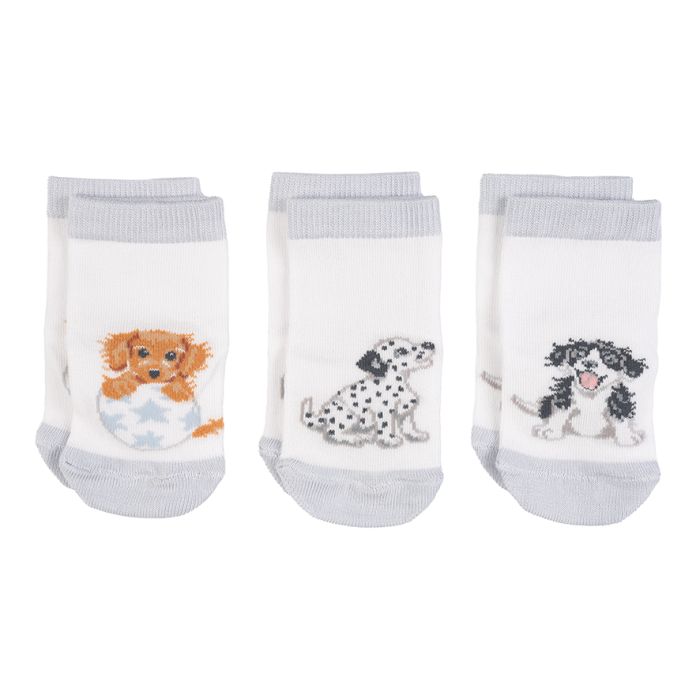 Wrendale Designs Baby Socks - Little Paws Set of 3