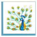 Quilling Card | Peacock Feather Display