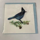 Quilling Card | Stellars Jay