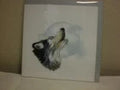 Quilling Card | Wolf