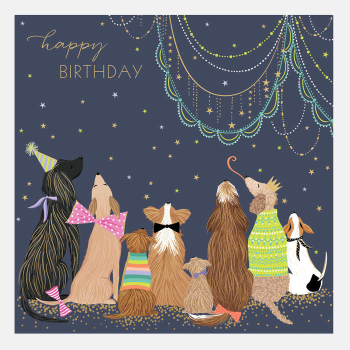 Happy Birthday Dogs Card by Sara Miller
